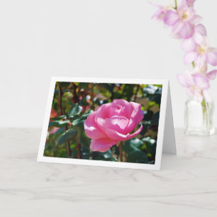 Pink Floral Garden Rose Card