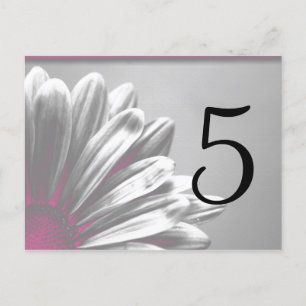Pink Floral Highlights Table Number Postcard