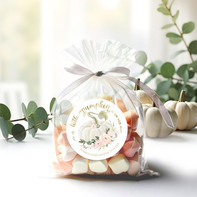 Pink Floral Little Pumpkin Fall Baby Shower Classic Round Sticker (Creator Uploaded)