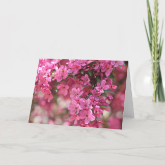 Pink Floral Notecards