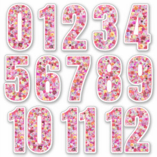 Pink Floral Numbers Twelve Months 