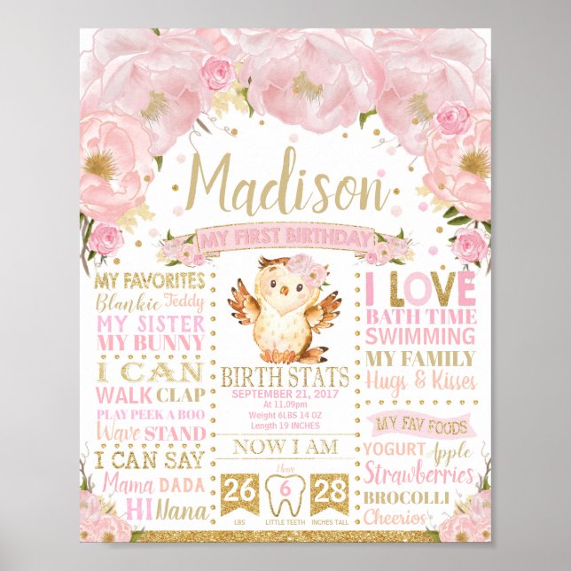 Pink Floral Owl 1st Birthday Milestone Birth Stats Poster (Front)
