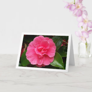 Pink Floral Rose Card