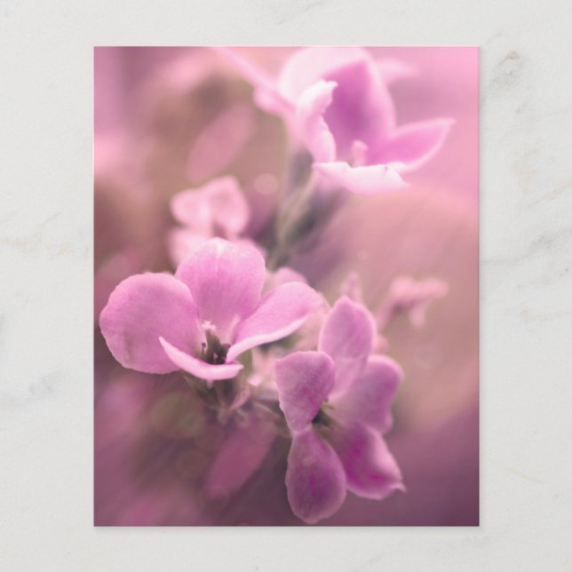 Pink Floral Scrapbook Ephemera (Front)