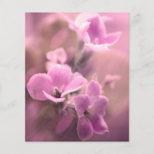 Pink Floral Scrapbook Ephemera