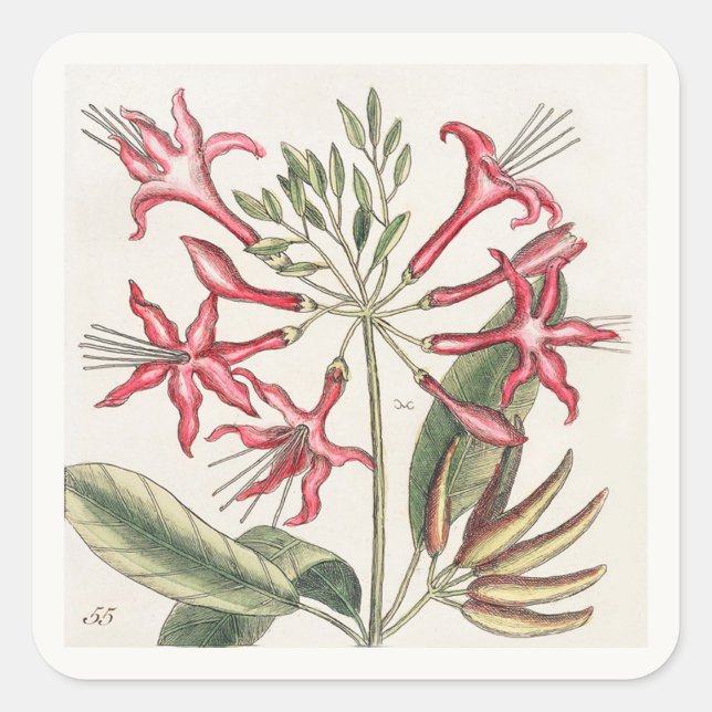 Pink Floral Square Sticker Sheet (Front)