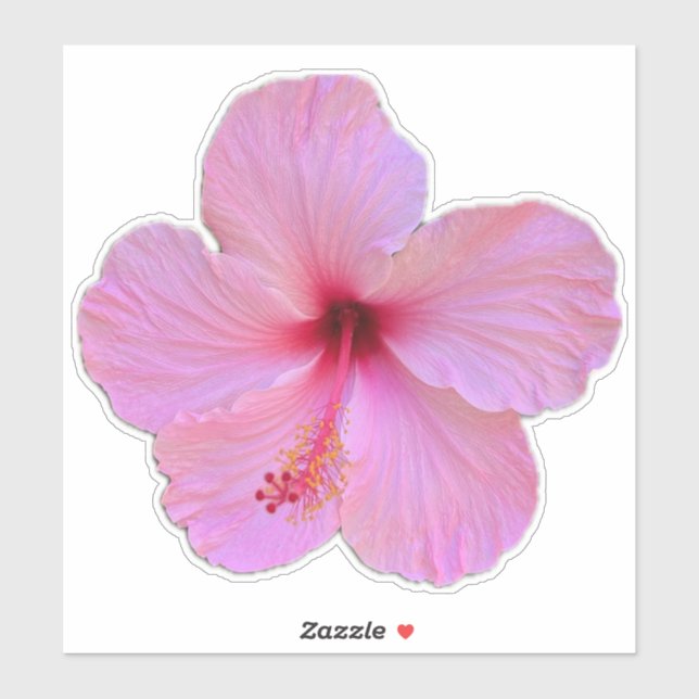 Pink Flower (Sheet)