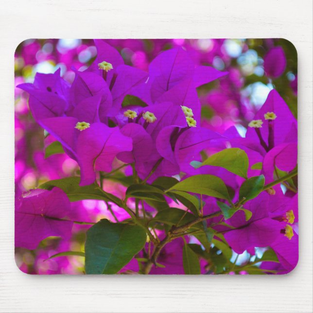 Pink Flower - #1 Mouse Mat (Front)
