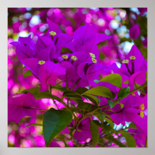 Pink Flower - #1 Poster