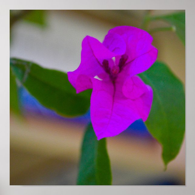 Pink Flower - #2 Poster (Front)