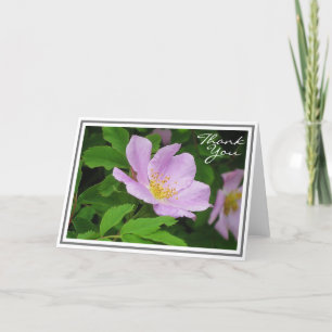 Pink Flower Against Green Foliage Card