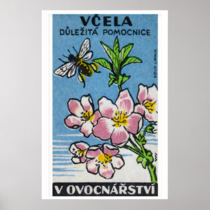 Pink Flower and Bee Matchbox Art Print, Czech Poster
