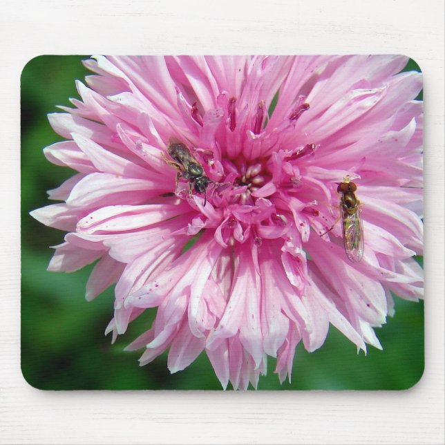 Pink Flower and Insects Mouse Mat (Front)
