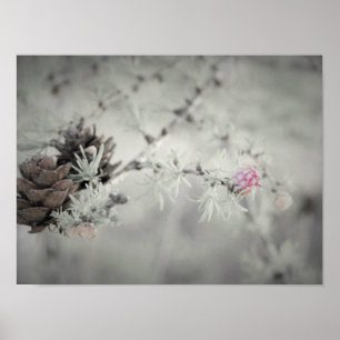 Pink flower at Larch Black and White Poster