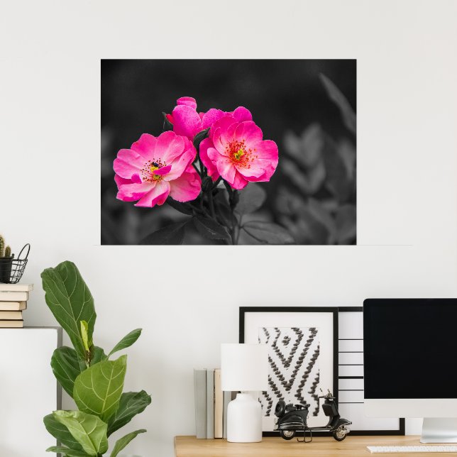 Pink Flower Black White Monochrome Poster (Home Office)