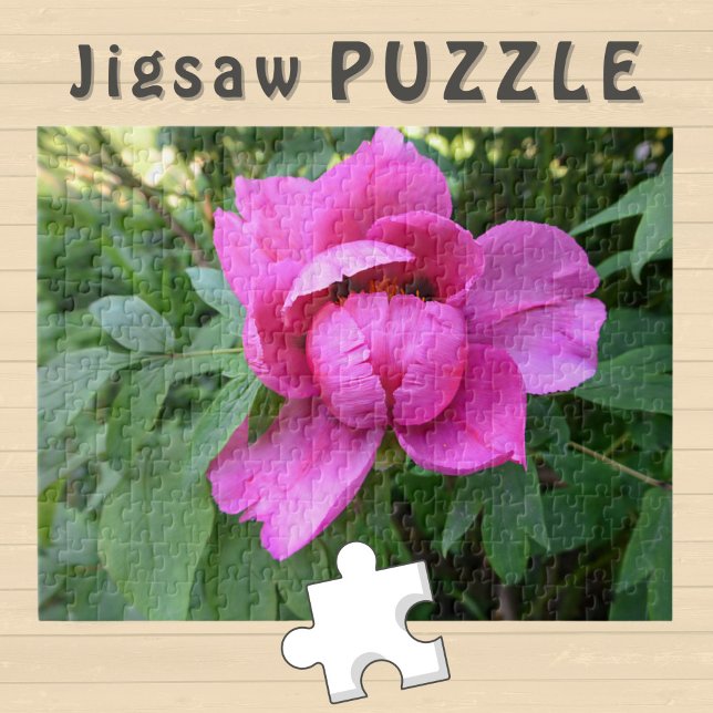 Pink Flower blooming aesthetic Photo -  Jigsaw Puzzle (Creator Uploaded)