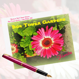 Pink Flower Bok Tower Gardens Lake Wales Florida Postcard