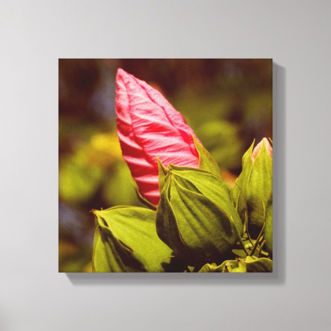 Pink Flower Bud Floral Garden Photo Single Canvas Print (Front)