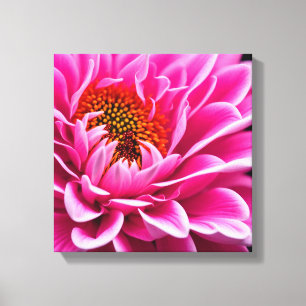 Pink Flower Canvas Print
