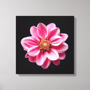 Pink Flower Canvas Print