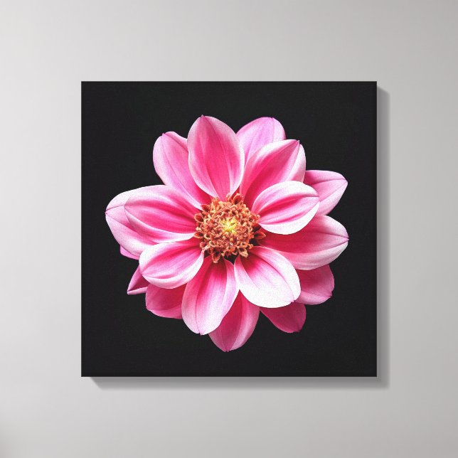Pink Flower Canvas Print (Front)