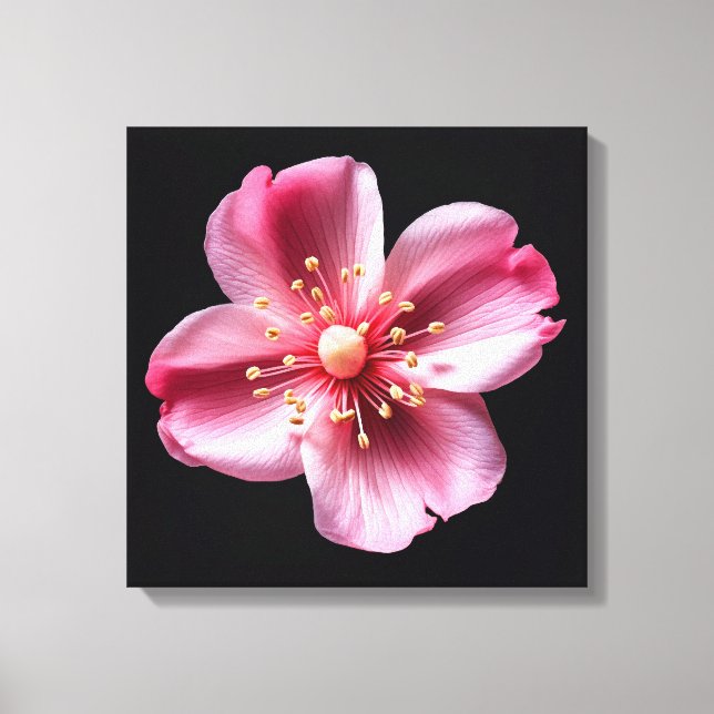 Pink Flower Canvas Print (Front)