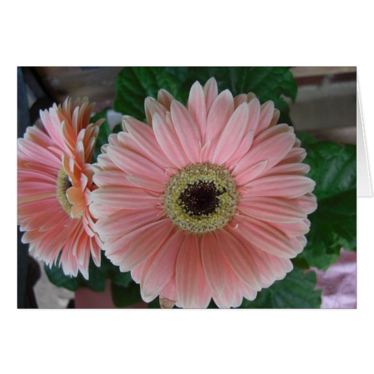 PINK FLOWER CARD