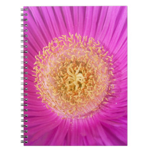Pink Flower Centre Notebook