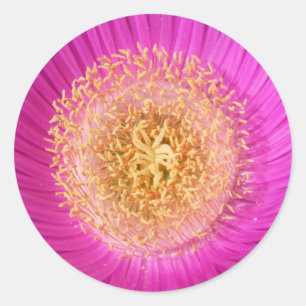 Pink Flower Centre Stickers