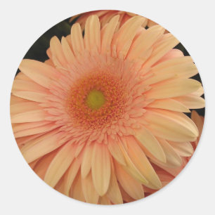 Pink Flower Classic Round Sticker