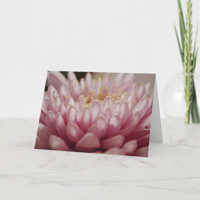 Pink Flower Close Up Note Card (Front)