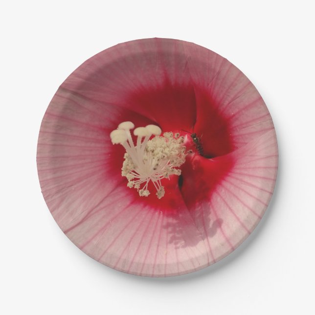 Pink Flower Close Up Photo Beautiful Paper Plates (Front)