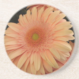 Pink Flower Coaster