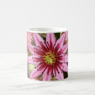 Pink Flower Coffee Mag Mug