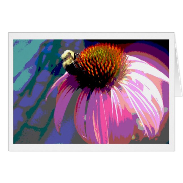 Pink Flower Echinacea Photography (Front Horizontal)