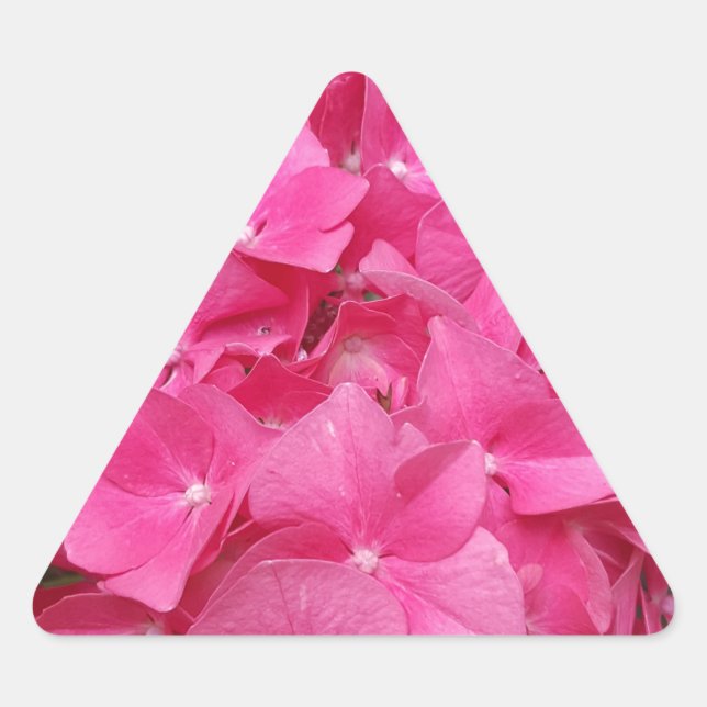 Pink Flower Floral Photography Nature Triangle Sticker (Front)