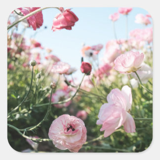 Pink flower garden sticker