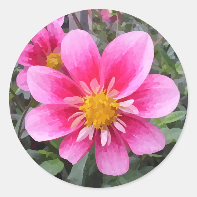 Pink Flower In Bloom Painted Effect Classic Round Sticker (Front)