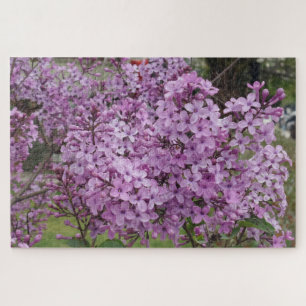 Pink Flower Jigsaw Puzzle