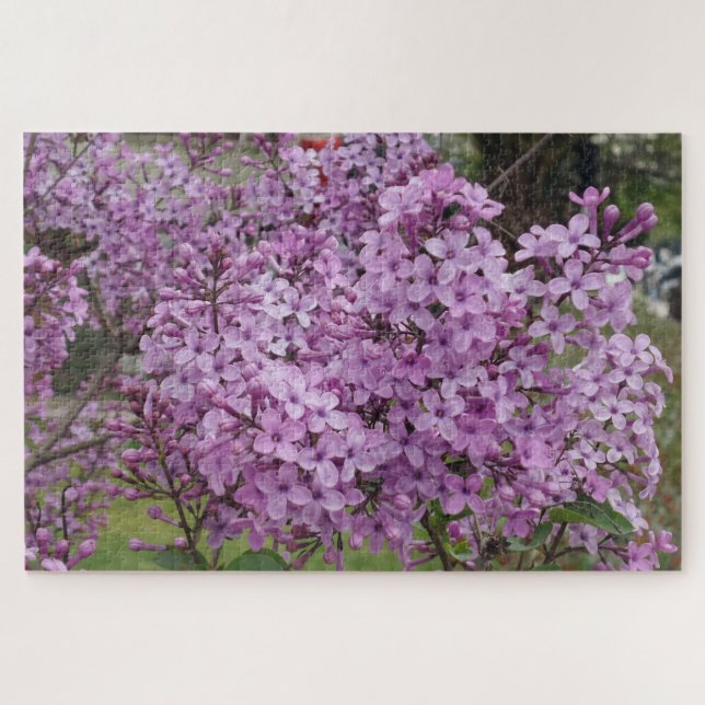 Pink  Flower Jigsaw Puzzle (Horizontal)