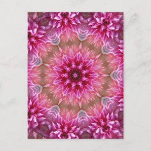 Pink Flower Kaleidoscope Mandala-43895 Postcard