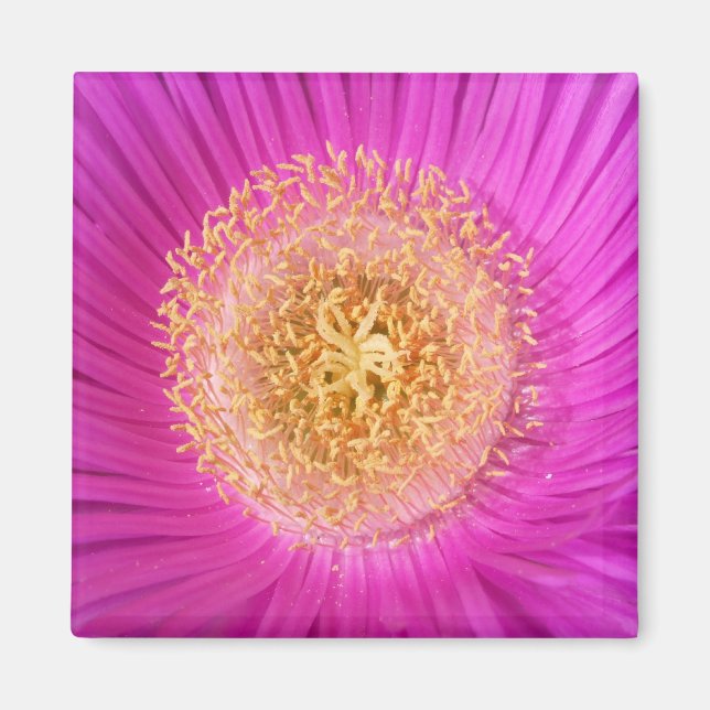 Pink Flower Magnet (Front)