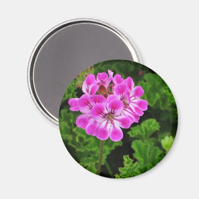 Pink Flower Magnet (Front/Back)