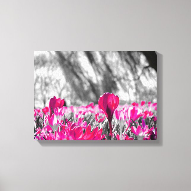 Pink Flower Monochrome Canvas Print (Front)