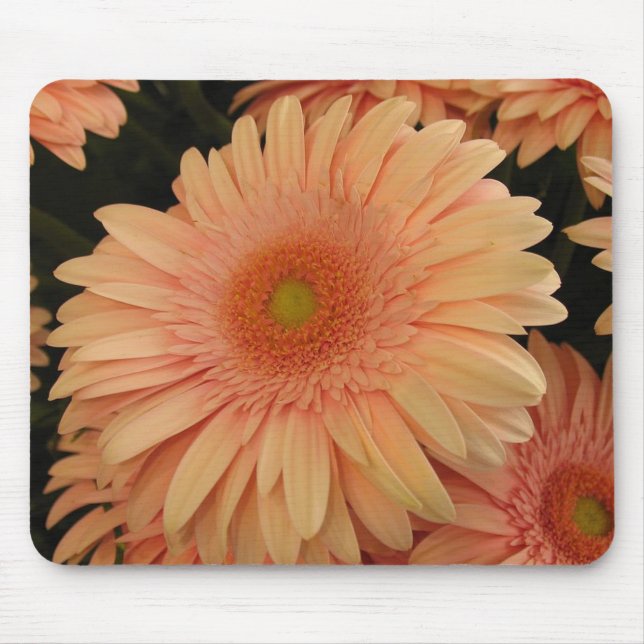 Pink Flower Mouse Pad (Front)