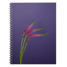 Pink Flower Notebook