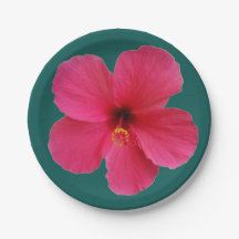 pink flower on dark green