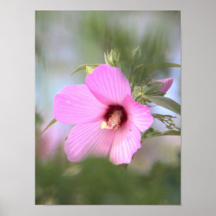 Pink Flower Photo Poster