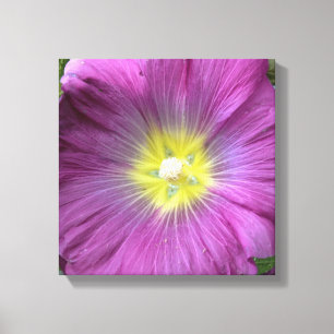 Pink Flower Photo Single Reproduction Canvas Print