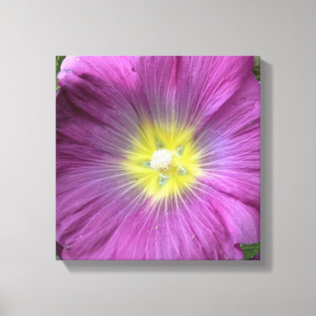 Pink Flower Photo Single Reproduction Canvas Print (Front)